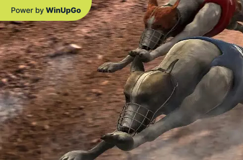 Игровой автомат Virtual Greyhounds