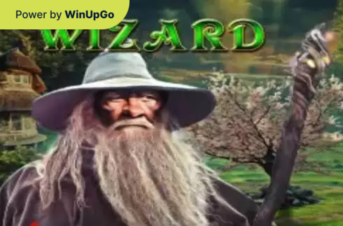 Ойын автоматы Wizard AGT Software