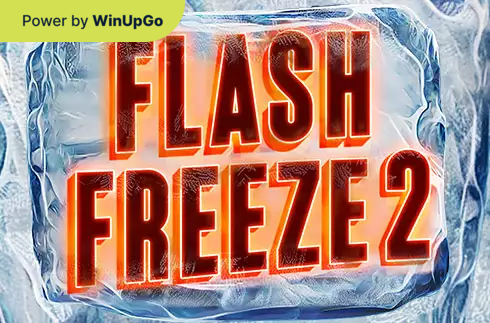 Мошини бозӣ Flash Freeze 2