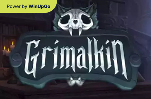 Мошини бозӣ Grimalkin