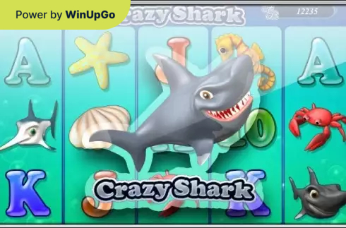 Мошини бозӣ Crazy Shark