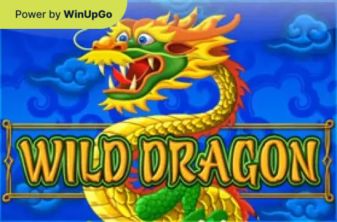 Мошини бозӣ Wild Dragon Amatic