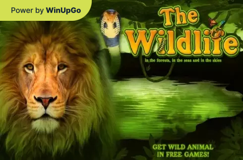 स्लॉट मशीन The Wildlife