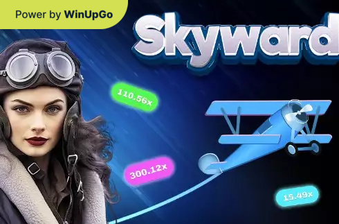 Мошини бозӣ Skyward