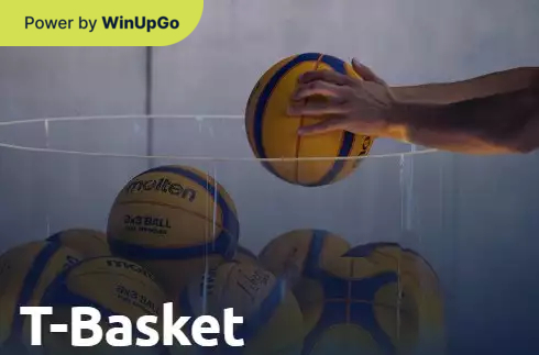 Мошини бозӣ T basket