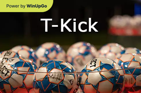 Мошини бозӣ T kick