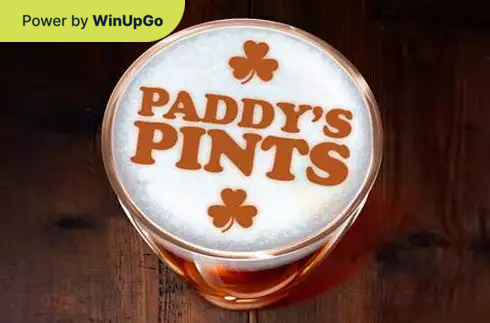 Мошини бозӣ Paddys Pints