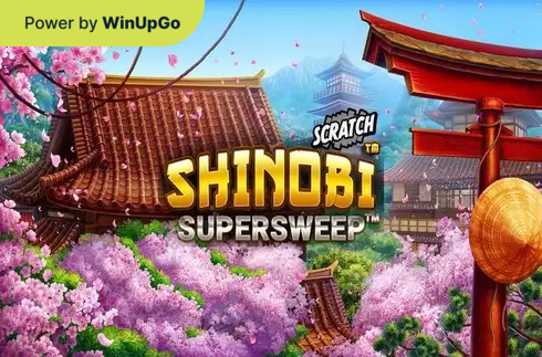 Мошини бозӣ Shinobi Supersweep Scratch