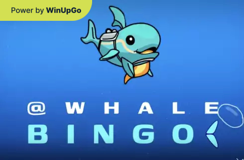 Machine à sous Whale Bingo