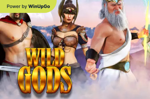 老虎机 Wild Gods Capecod Gaming
