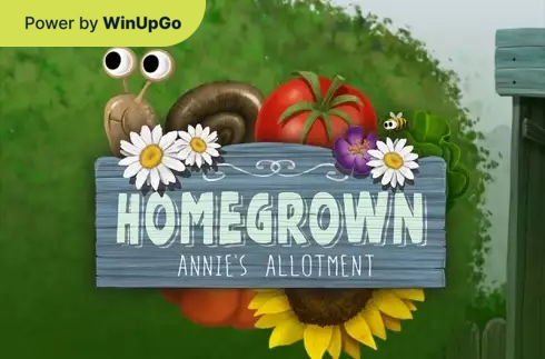 Мошини бозӣ Homegrown