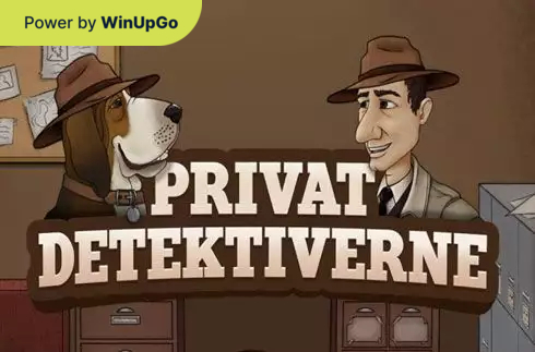 Мошини бозӣ Privat Detektiverne