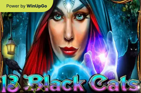 O‘yin avtomati 13 Black Cats