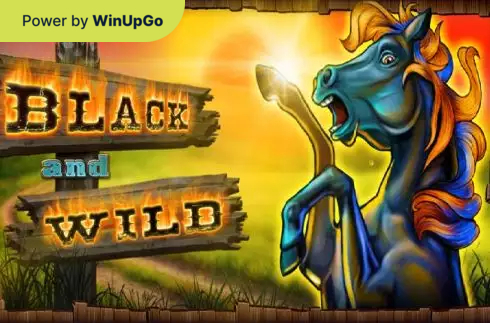 O‘yin avtomati Black And Wild