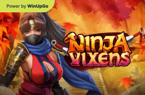 슬롯머신 Ninja Vixens