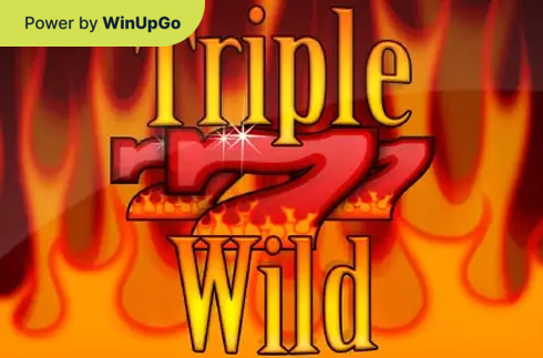دستگاه اسلات Triple Wild Seven