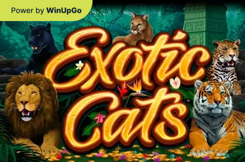 老虎机 Exotic Cats