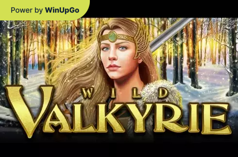 Ойын автоматы Wild Valkyrie