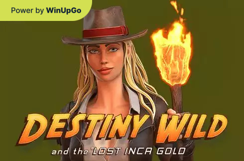 老虎机 Destiny Wild