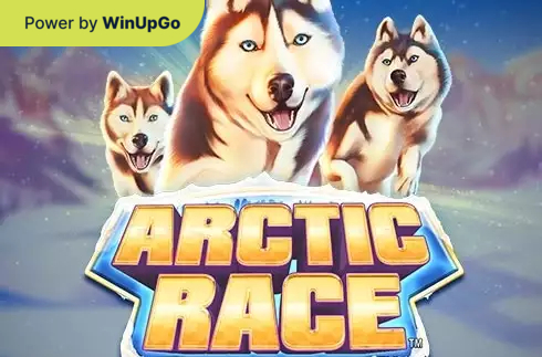 老虎机 Arctic Race