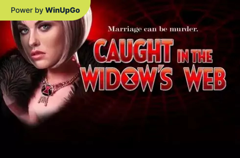 Automat do gier Caught in the Widows Web