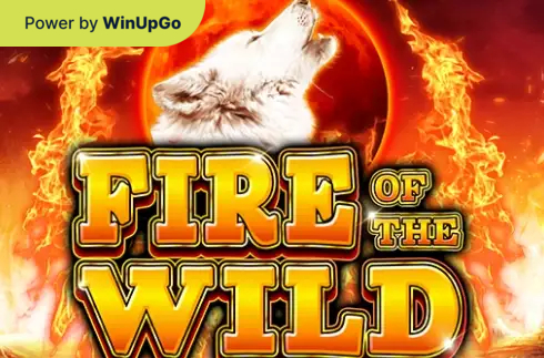 Мошини бозӣ Fire of the wild