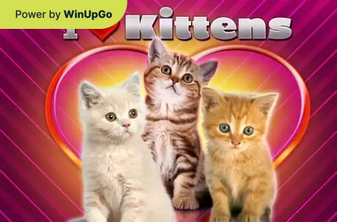 Păcănea I Love Kittens