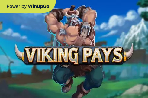 Мошини бозӣ Viking Pays
