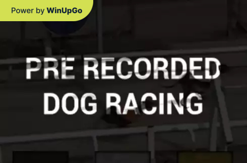 Slot Machine Pre recorded Dog Racing