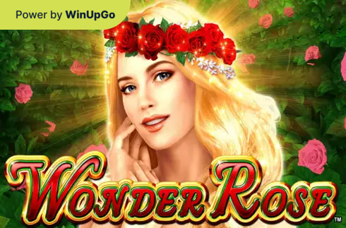 Мошини бозӣ Wonder Rose