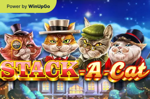 Slot Machine Stack A Cat
