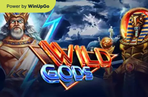 دستگاه اسلات Wild Gods Leap Gaming