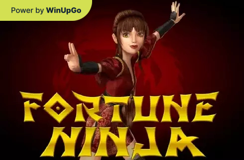 دستگاه اسلات Ninja Fortune