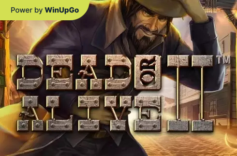 מכונת מזל Dead or Alive 2