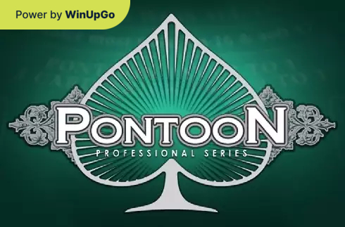 Оюн автоматы Pontoon Professional Series