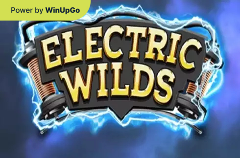 Мошини бозӣ Electric Wilds