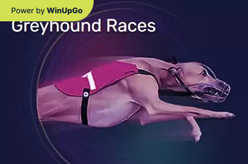 מכונת מזל Greyhound Races