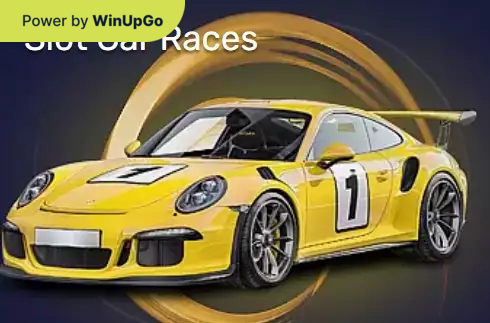 Мошини бозӣ Slot Car Races