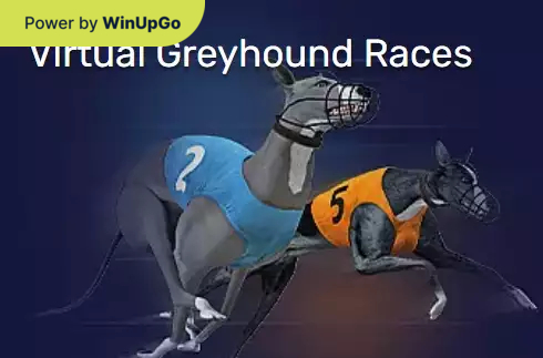 Мошини бозӣ Virtual Greyhound Races