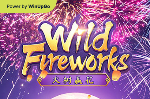 Мошини бозӣ Wild Fireworks