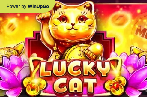 Мошини бозӣ Lucky Cat Platipus