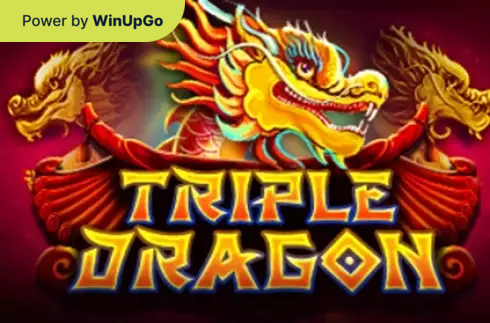 Мошини бозӣ Triple Dragon Platipus