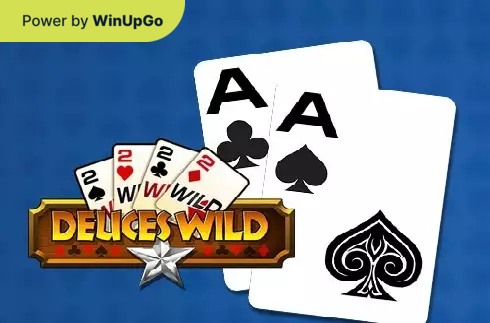 Spielautomat Deuces Wild MH Playn Go