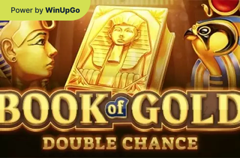 Slot Machine Book of Gold Double Chance