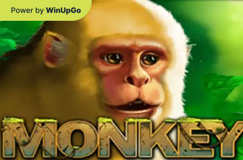 Мошини бозӣ Monkey PlayStar