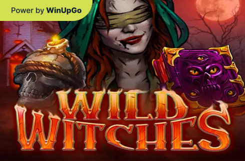 Мошини бозӣ Wild witches popiplay