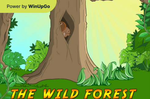 Խաղային ավտոմատ The Wild Forest 9