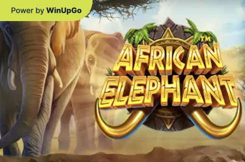 老虎机 African Elephant