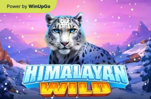 老虎机 Himalayan wild