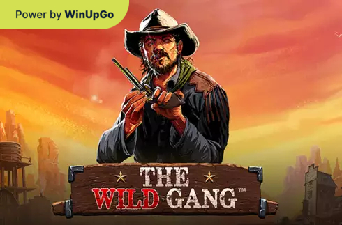 老虎机 The Wild Gang